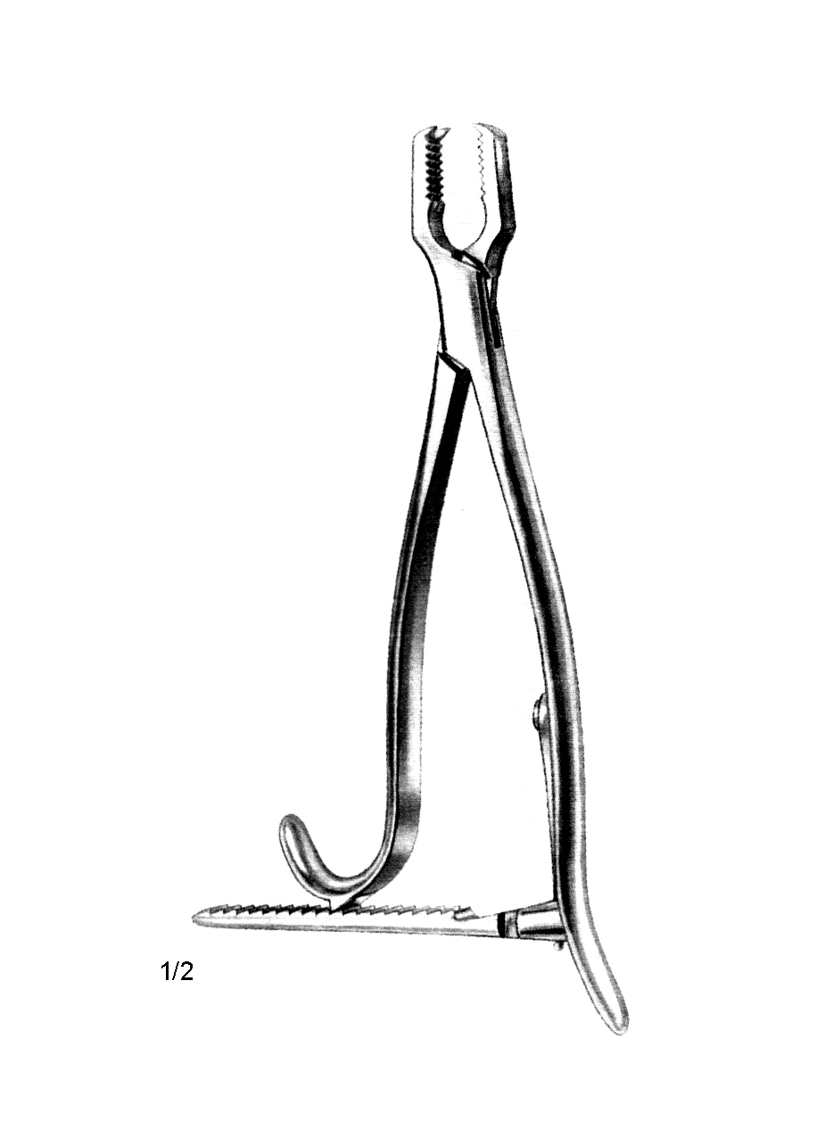 KERN LANE KEMİK TUTUCU KLEMPİ 21CM